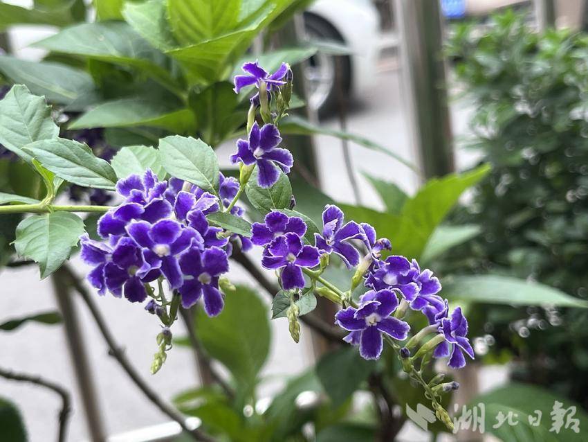 电子游戏娱乐网址大全